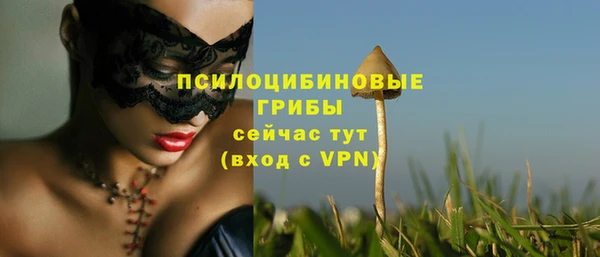 стафф Абинск